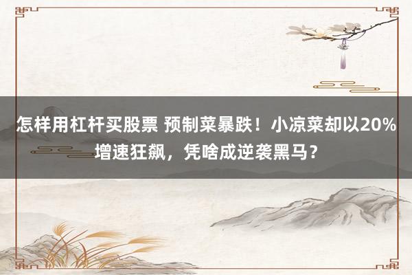 怎样用杠杆买股票 预制菜暴跌！小凉菜却以20%增速狂飙，凭啥成逆袭黑马？